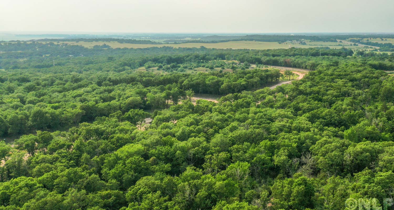 Iron Oak Reserve